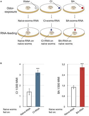 Alanine tRNAs Translate Environment Into Behavior in Caenorhabditis elegans